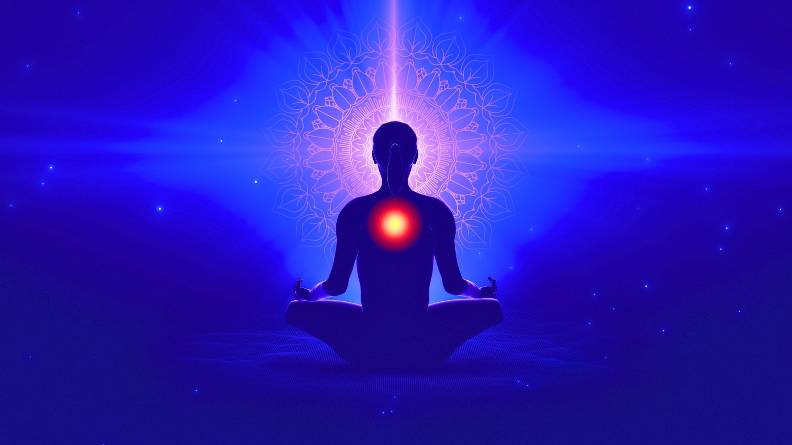 How to Forgive and Transform by Andromedans
