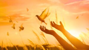 Sadness Ascension Activation by Lord Melchizedek - Natalie Glasson