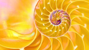 EMBODY YOUR ETERNAL DIVINITY by Mary Magdalene - Natalie Glasson OmNa Sanctuary