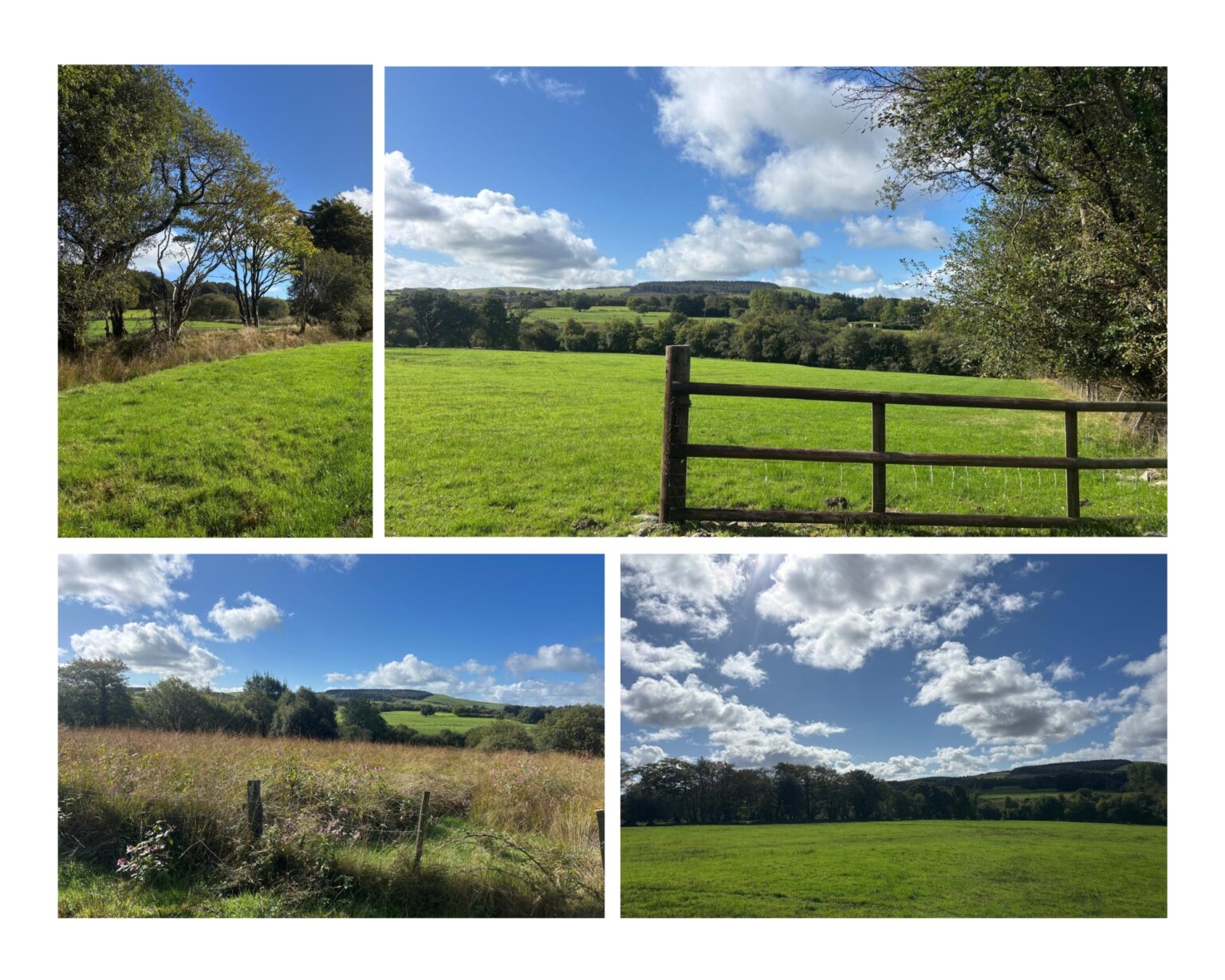 Our Land OmNa Sanctuary Natalie Glasson