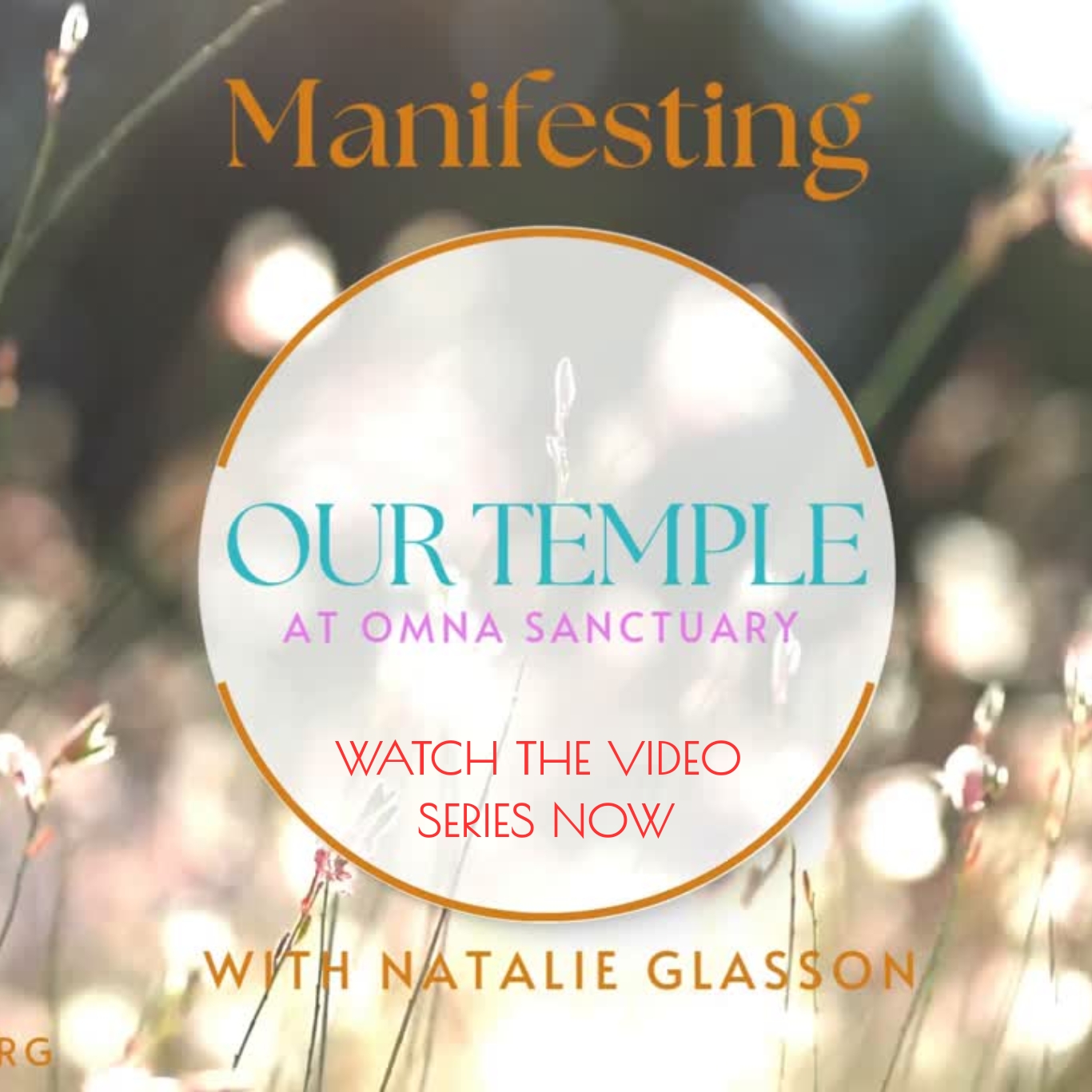 Manifesting Our Temple Part 7. A Family Visit to Sacred Land in Wales